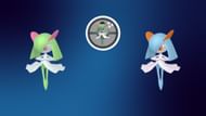 Regular and shiny Kirlia (Image via TPC)